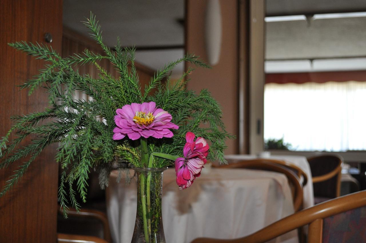 Hotel Hotel Premeno